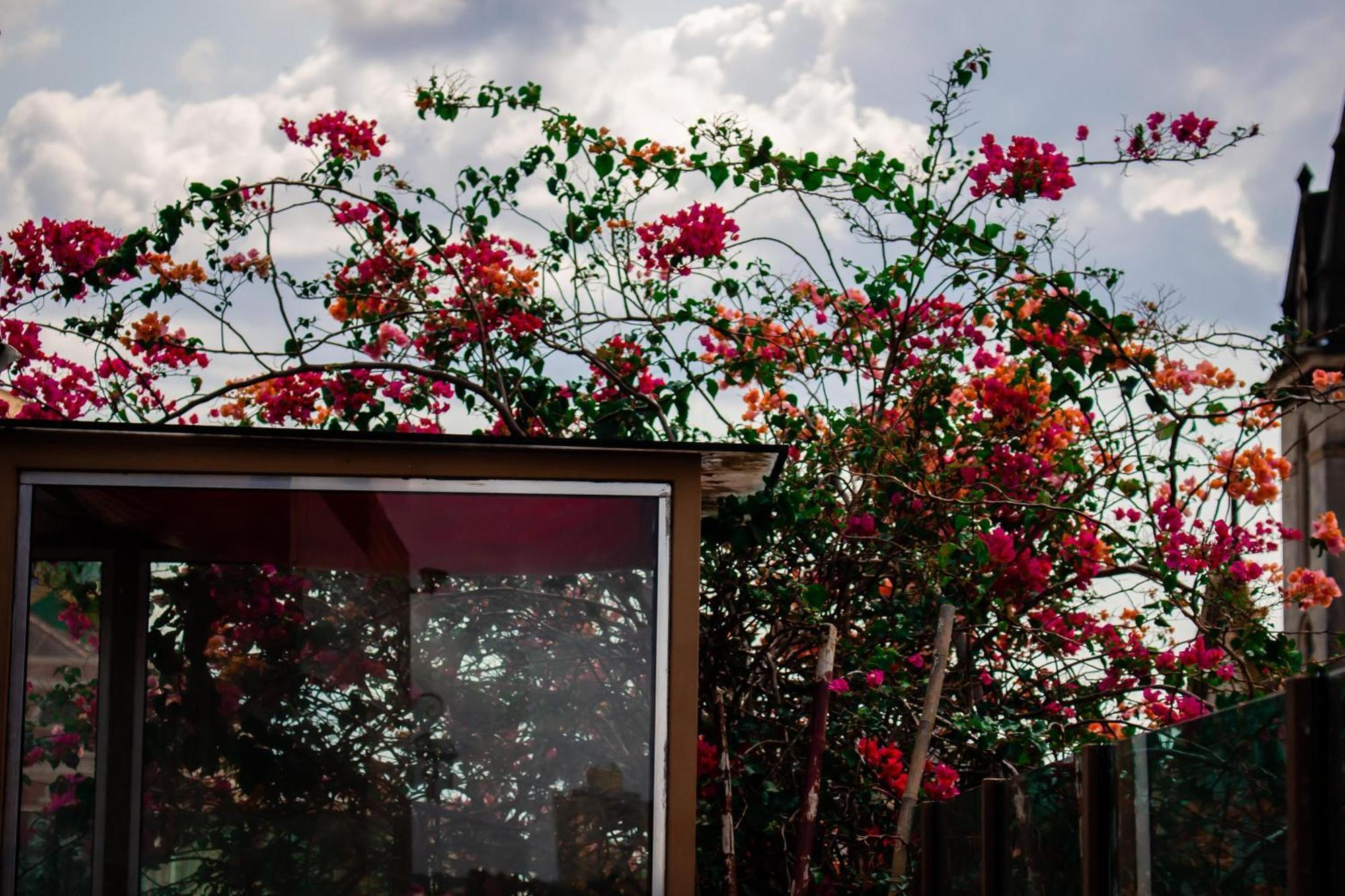 Boutique Hotel Casa Teatro Manaus Dış mekan fotoğraf