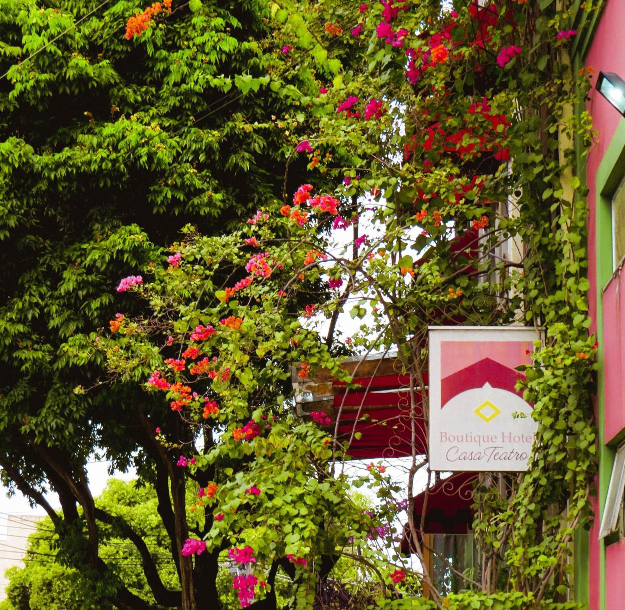 Boutique Hotel Casa Teatro Manaus Dış mekan fotoğraf